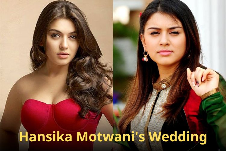 Hansika Motwani Ready To Get Hitched With Sohael Kathuriya In December 