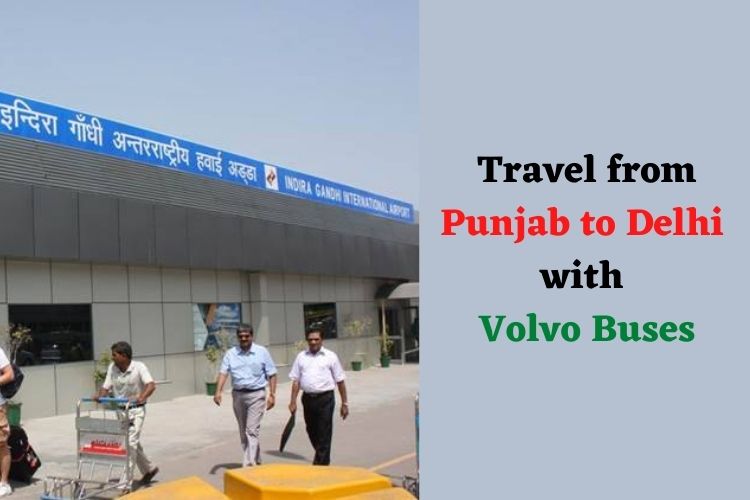 Travel From Punjab To Delhi Airport In Luxury Buses From June 15 
