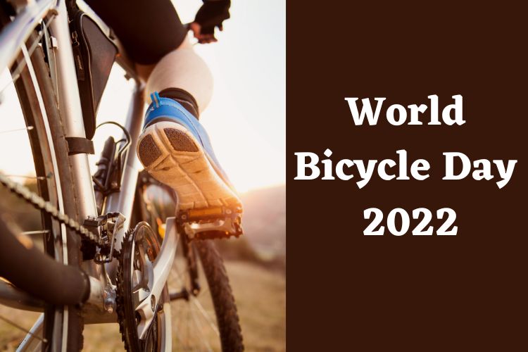 World Bicycle Day 2022: Benefits of Including Cycling in Your Routine  
