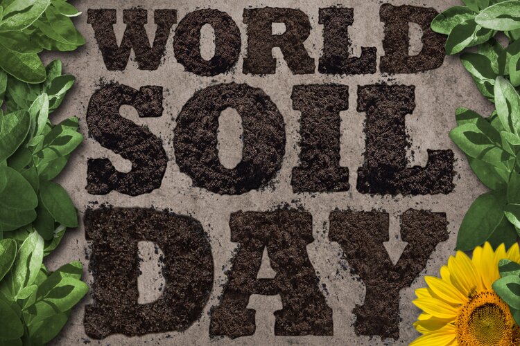 World Soil Day: Know the History, Significance and Theme 