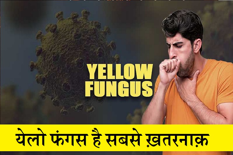 ब्लैक और व्हाइट फंगस से भी सबसे ख़तरनाक है Yellow fungus, सबको निशाना बना रहा है