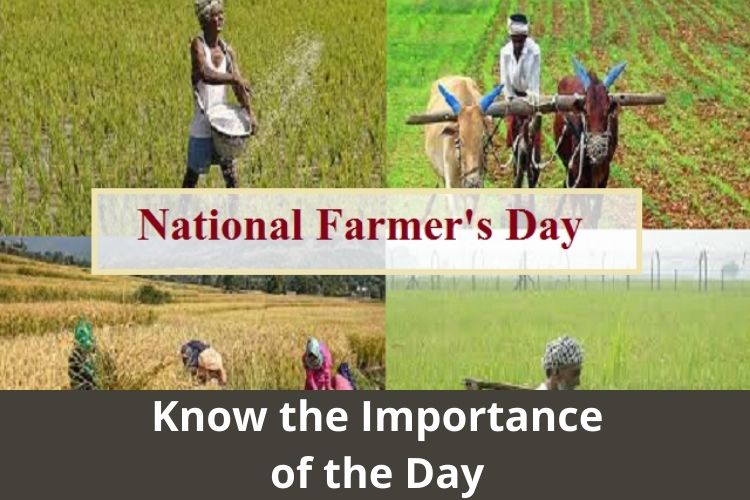 National Farmers' Day: Know the Importance of the Day 