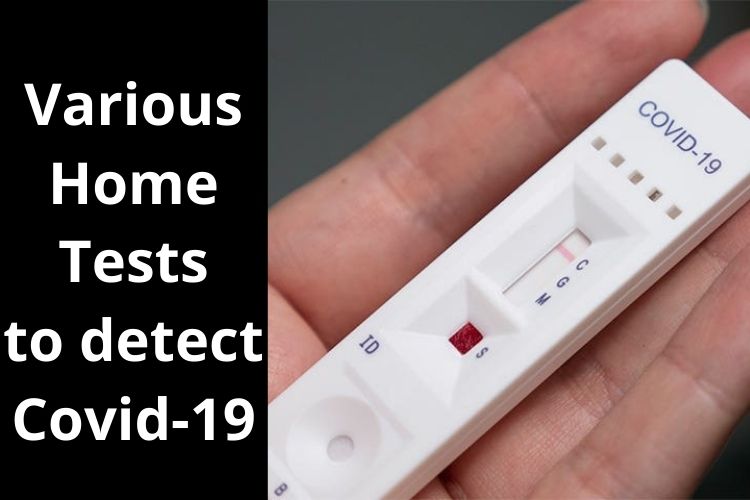 Know about Various Home Tests to detect Covid-19 