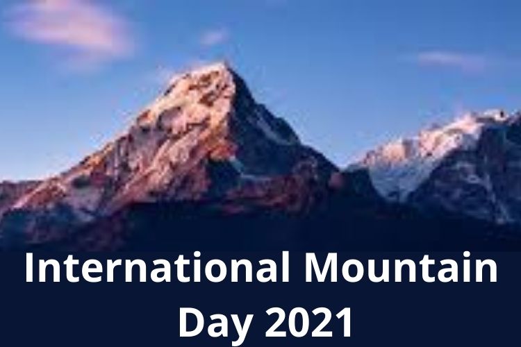 International Mountain Day: Know the History, Significance and Theme of the Day 