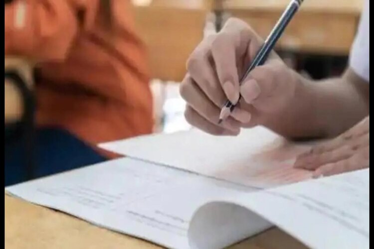 UP BEd Counselling process starts, Know the details 