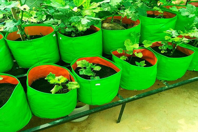 Mumbai: Student creates Grow Bags from Recycled Plastic Bottles 