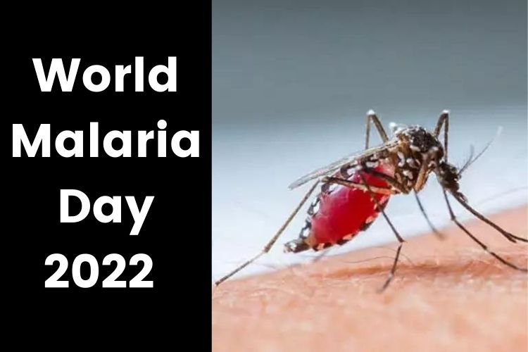 World Malaria Day 2022: मलेरिया शरीर के इन हिस्सों को कर सकता है बुरी तरह डैमेज, जानें लक्षण और बचाव