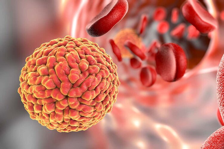 Zika virus infection, Kerala reports first case