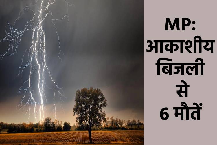 MP: कई जिलों में आफत की बारिश, पन्ना में बिजली गिरने से 6 लोगों की मौत