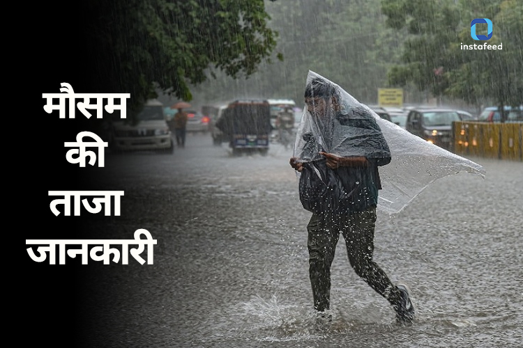  Delhi Monsoon Update: दिल्ली-NCR का मौसम कूल-कूल, हरियाणा के 7 जिलों IMD का अलर्ट