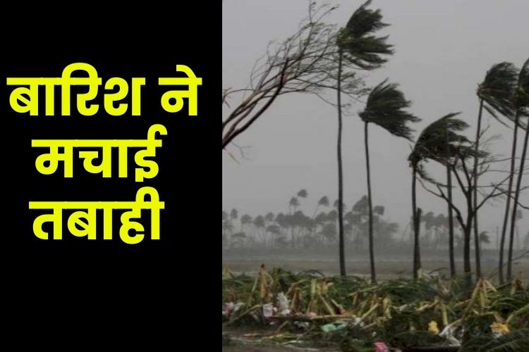 Andhra Pradesh में बारिश ने मचाई तबाही, 4 बच्चों समेत 12 लोगों की मौत