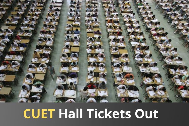 CUET UG Admit Cards for Phase 2 Releases, Download Now 