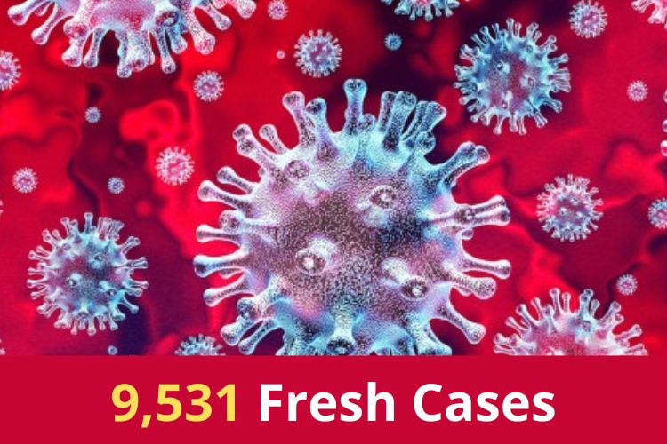 Covid Updates: India Logs 9,531 Fresh Cases 