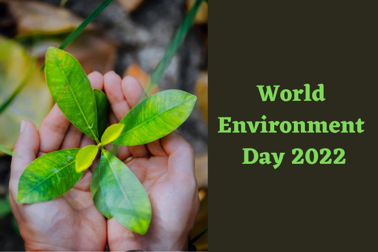 World Environment Day: An Initiative to Save Earth 