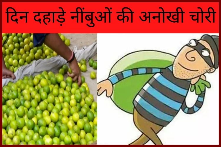 यूपी में अनोखी चोरी, चोरों ने 250 रुपए प्रति किलो नींबू पर किया हाथ साफ