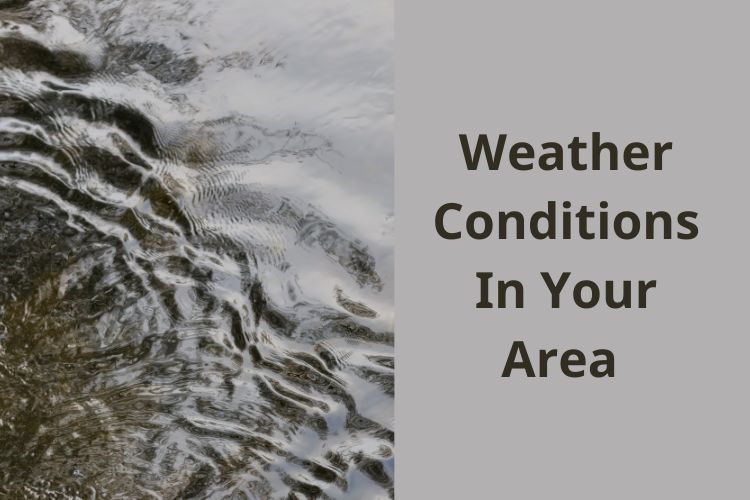 Weather Update: IMD Forecasts Heavy Rainfall In These States 