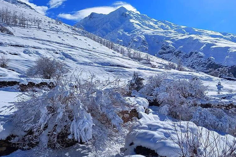 Heavy Snowfall in Himachal Pradesh and Uttarakhand 
