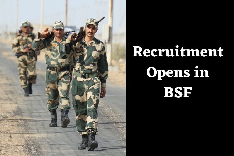 BSF invites Applications for 281 Vacancies in Various Posts, Apply Now 