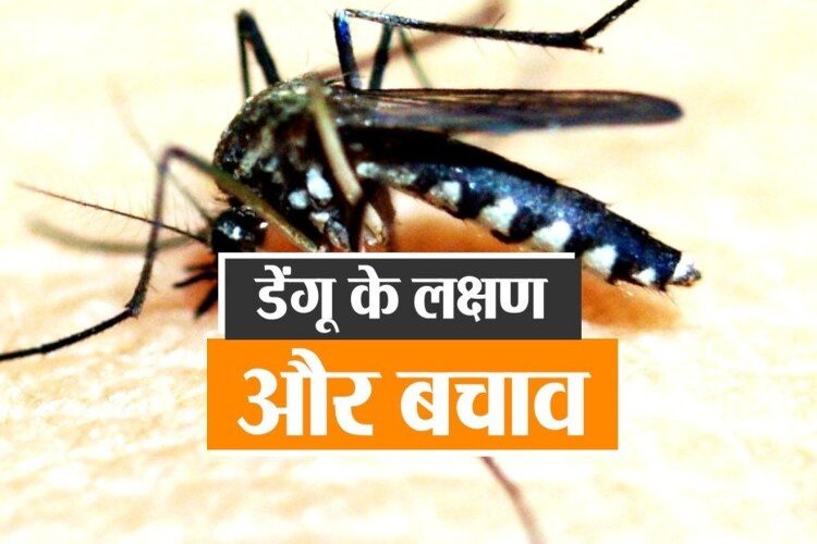 Dengue: गलती से भी न करें इन लक्षणों को नजरअंदाज, ये हैं बचाव के तरीके