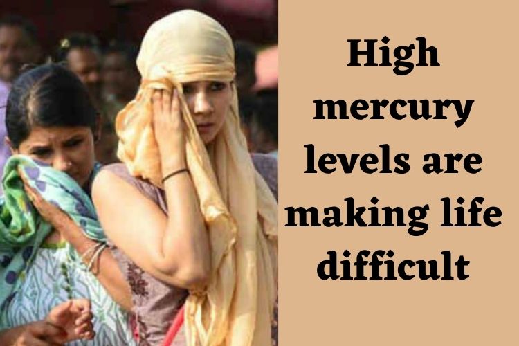 Weather Forecast: No relief from Heatwave in Delhi-NCR 