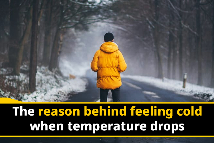 Why do you feel cold when temperature falls?