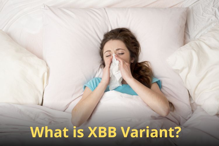 Stay Cautious Of XBB Covid Variant, Know The Causes and Risks 
