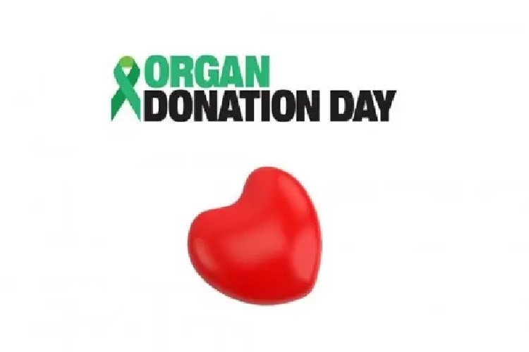 World Organ Donation Day 2022 : जानिए इस दिन का इतिहास और महत्व 