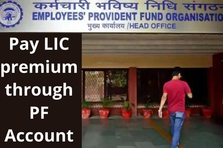 EPFO: Know how to pay LIC premium through PF Account 