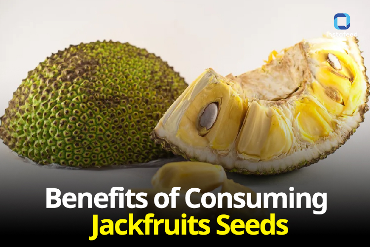 Discover the Health Benefits of Jackfruit Seeds: A Nutritional Powerhouse