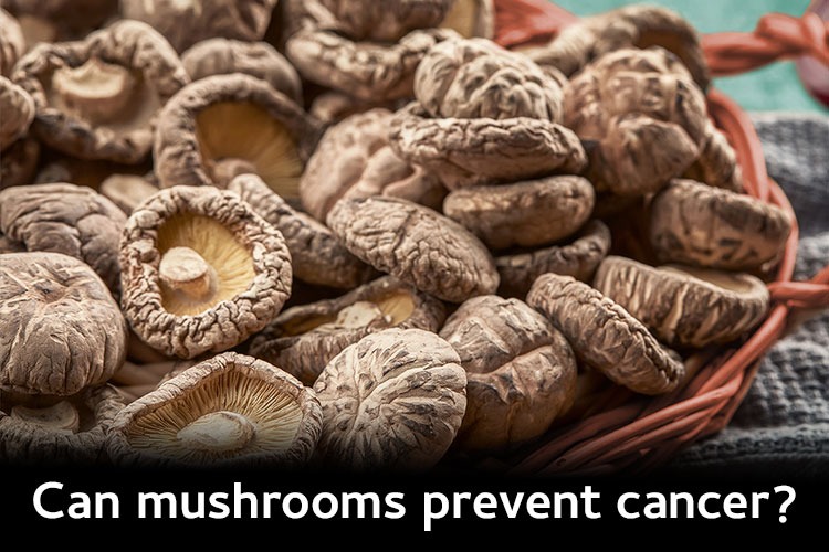  Higher Mushroom Consumption  Can Lower Risk of Cancer.