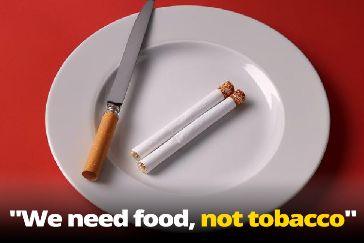 The World No Tobacco Day,2023