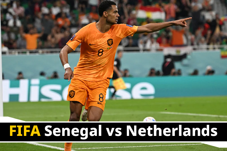 Senegal vs Netherlands: World Cup 2022 Date and Time