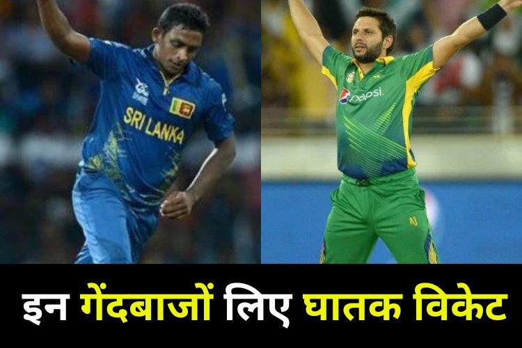 T20 World Cup: अब तक इस गेंदबाज ने लिए सबसे ज्यादा विकेट, फैंस बोल रहे सुपर खिलाड़ी