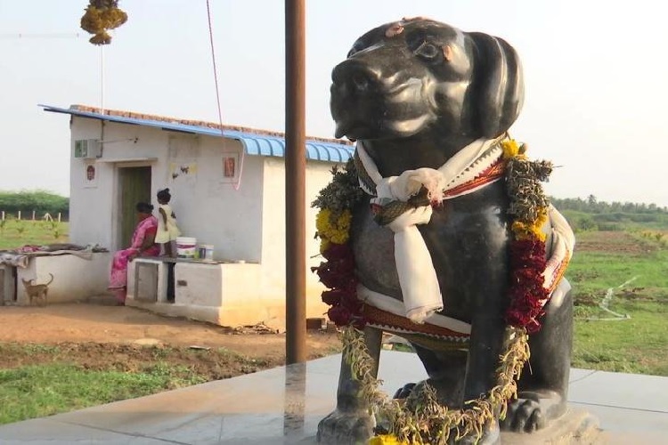 तमिलनाडु के व्यक्ति ने अपने पालतू कुत्ते की बनवाई मूर्ति