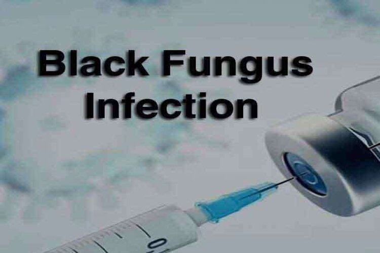 MP: Black Fungus के इंजेक्शन से रिएक्शन, 27 मरीजों की तबीयत बिगड़ी