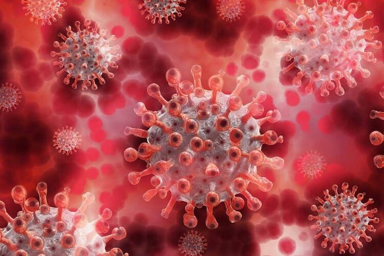 Covid-19 updates: India records 37,593 fresh cases in the last 24 hours 