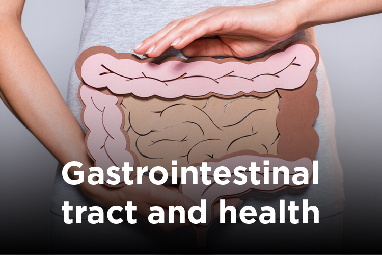 Gastrointestinal tract paves way to overall wellness of human body 