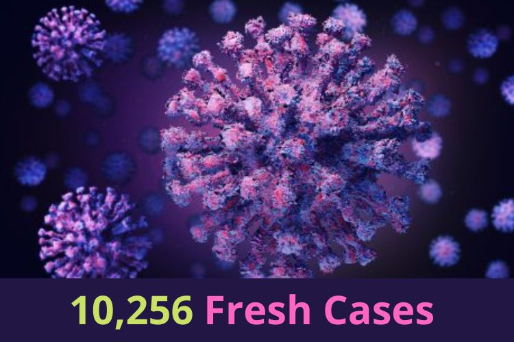 Covid Updates: India Logs 10,256 Fresh Cases 