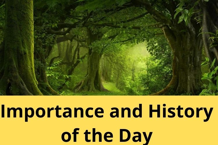 International Day of Forests: Role of Green Vegetation to balance the Ecosystem