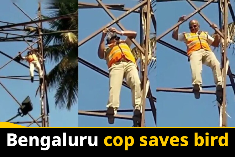 Viral News: Bengaluru cop risks his life to save a bird in a viral video