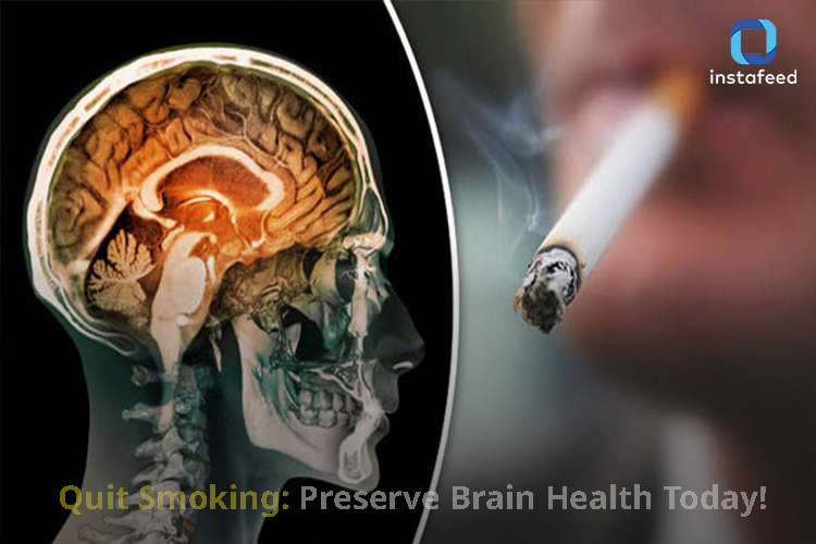 Smoking and the Brain: Understanding the Harmful Effects and the Importance of Quitting