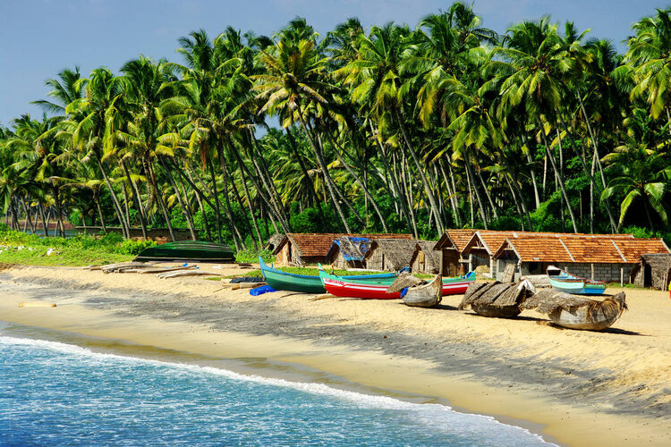 Goa govt announces 5-day quarantine mandatory for travellers from Kerala 