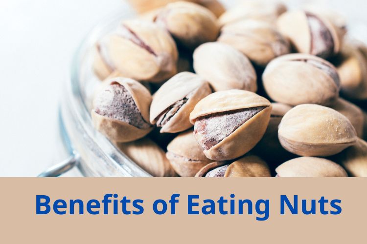 Eat These Nuts Daily To Reduce Your Cholesterol Level 