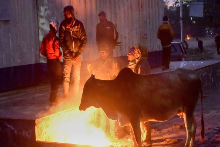 पहाड़ों में बर्फबारी के बाद आज से उत्तर भारत में कड़ाके की ठंड पड़ेगी और कड़ाके की ठंड पड़ेगी.