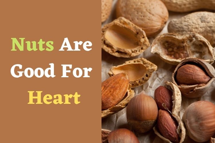 Eat These Nutritional Nuts For A Healthier Heart 
