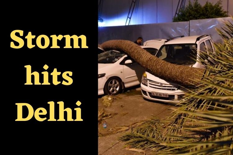 Weather Forecast: Delhi's Flights Diverts to Jaipur Due to Bad Weather 