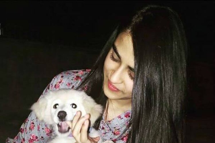 Delhi vet, makes sure to feed every stray animal