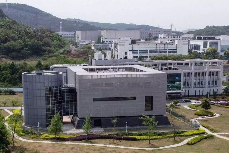 Wuhan Lab in Debate, Researchers fall sick of Covid-19 in November 2019