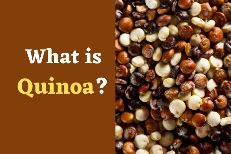 Benefits Of Quinoa In Your Weight Loss Journey