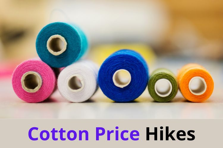 Cost of cotton rises to Rs 9500 per quintal. Huge profits expected from international market.